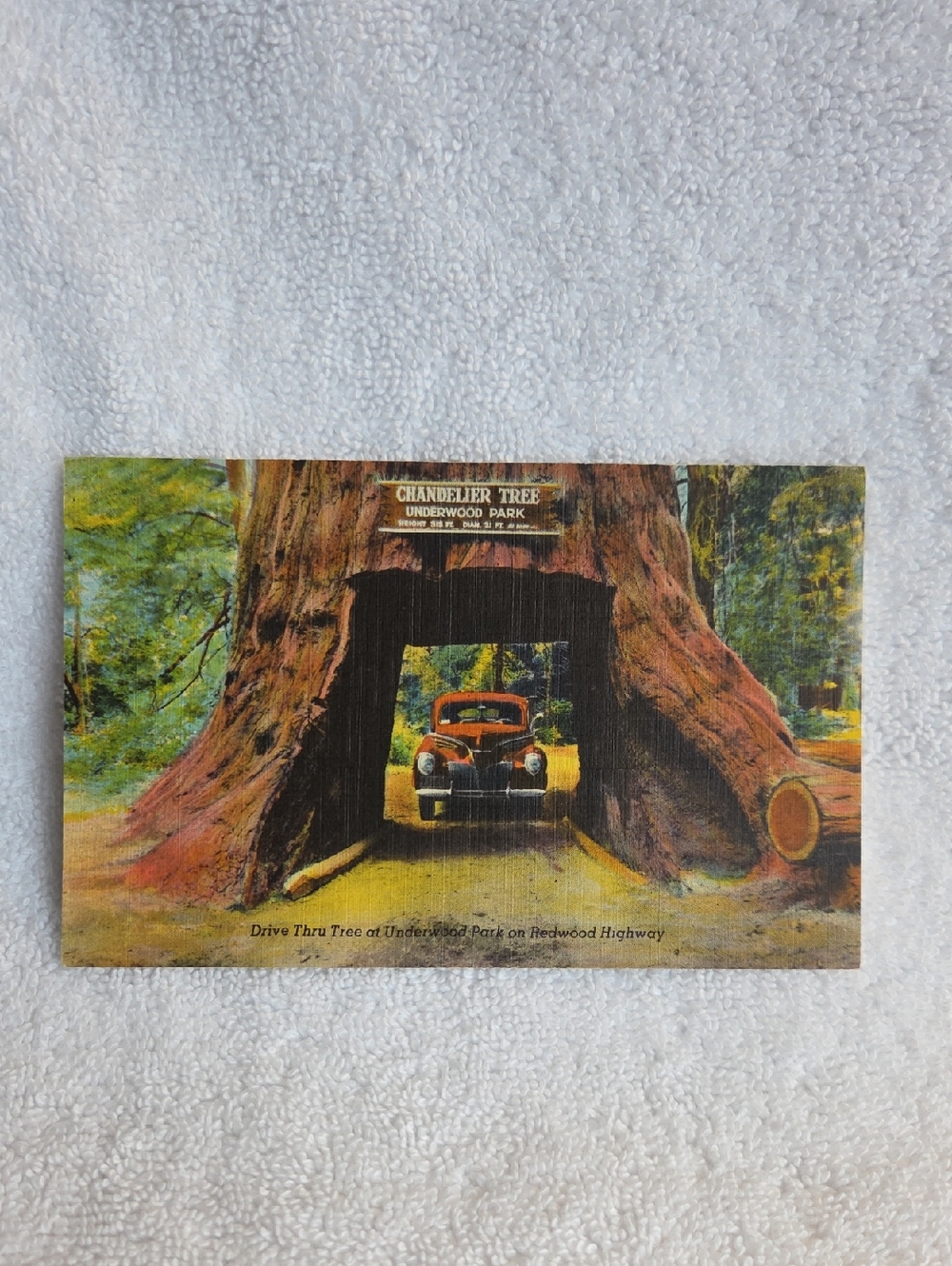 Chandelier Tree ..vintage Linen Post Card.
